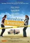 Sunshine Cleaning (2008)2.jpg